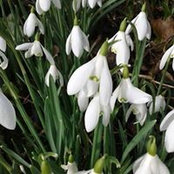 Christine O' Connell's photo