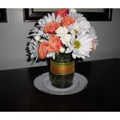 Cathy Lynn's photo