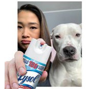 Amanda Yang's photo
