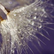Renae Bigelow's photo