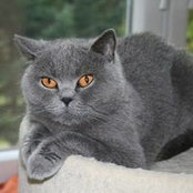 Roswitha Vom Hofe's photo