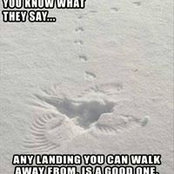 David Deichman's photo