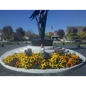 Jennifer Carpenter's photo