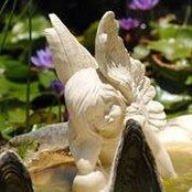 Nicole Rubritz's photo