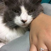 Sarah Morana's photo
