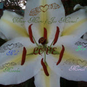 Tiffany Hernandez's photo