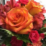 Tasha Helgesen's photo