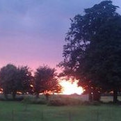 Leesa Farmer's photo