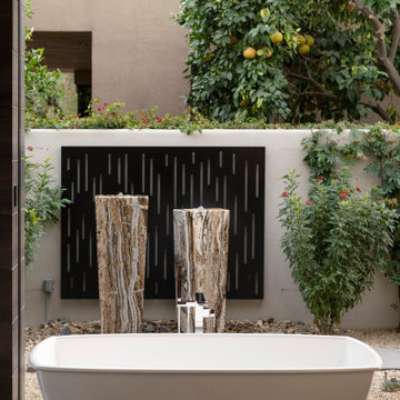 Bighorn Palm Desert luxury home modern glass wall bathroom