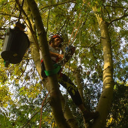 Installing a Treehouse Life Nest Swing project - Products