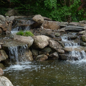 Water Gardens: Pond & Waterfall for Birds & Fish