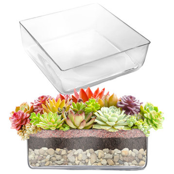 Large Glass Square Vase (H:4" Open:12"x12") Square Flower Vase Centerpieces, Pack of 2