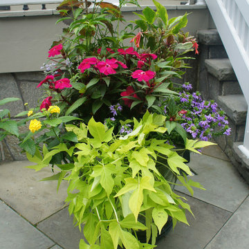 Fabulous Container Gardens