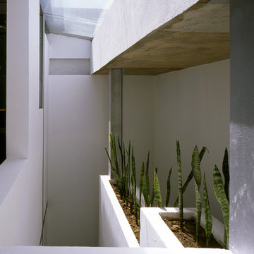 casa ruiz