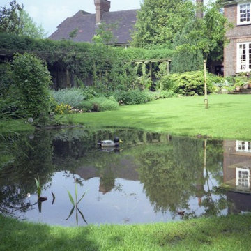 Remodelling an established garden
