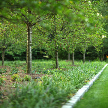 Orchard