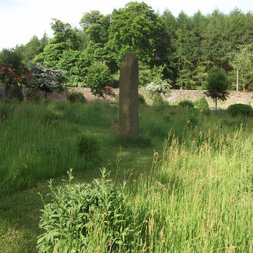 Wild meadow garden Peak District