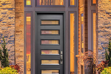 Contemporary Replacement Entry Doors
