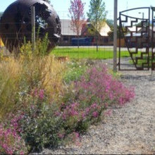 garden ideas