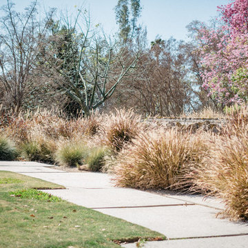 Landscape > Arboretum