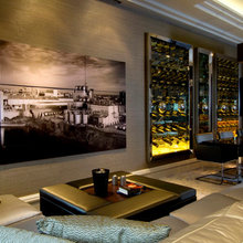 Wine Cabinets/Fridge