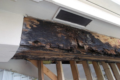 BUILDING PATHOLOGY OF DETERIORATED STRUCTURAL WOOD BEAM CAUSED BY A ROOF LEAK