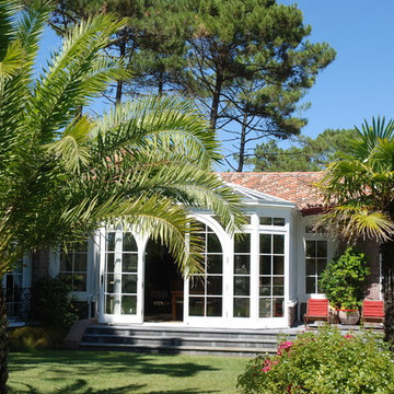 An Exotic Outdoor Oasis
