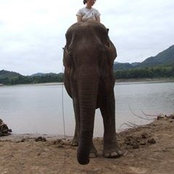 Mary Dunne's photo