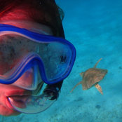Elena Dragomir's photo