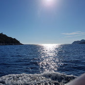 Elma Hadzic's photo