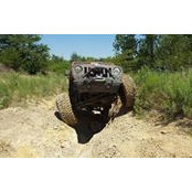 Jeremy Thomas's photo