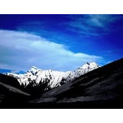Foto von Vivek Bhatt
