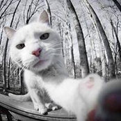 Phú Đồng's photo