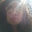 Theressa Taliulu