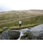 Alison Bowring's photo