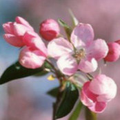 Susan Burns's photo