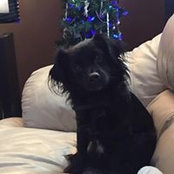 Karlie Rae Adams's photo