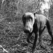 Deborah Callicott's photo