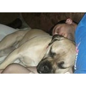 Boris Shklyar's photo