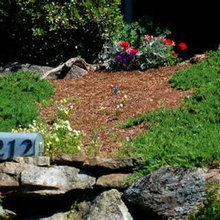 Landscape Ideas