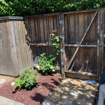 Los Altos | New Small Space Transformed