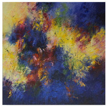 Aleta Pippin 'Color Burst 2' Canvas Art