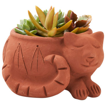 Rakshana Cat Plant Pot Terracotta