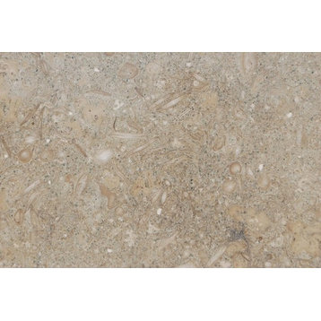 Sea Grass Limestone Tiles, Polished Finish, 18"x18", Set of 24