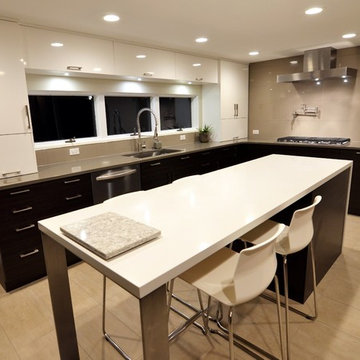 Small "U" Shaped Modern Kitchen with White and Wood Finishes in Geneva, IL