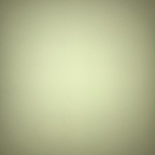 Brandon's ideas