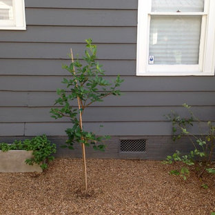 Großer Stilmix Garten hinter dem Haus mit Gartenweg, direkter Sonneneinstrahlung und Pflasterklinker in Houston