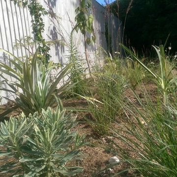 De Stijl - inspired modernist garden, Brighton