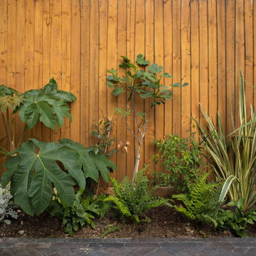 Small Tropical Garden - Urban Jungle Brixton