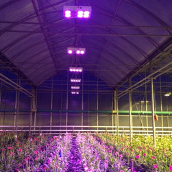 LED Aquarium Light - Products